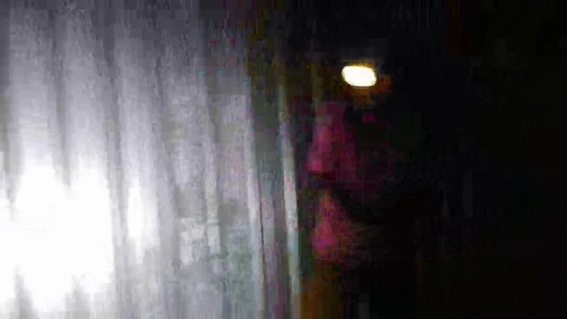 Streaming2023 05 29 15.16   OBS Hosting Screenshot by LandwirtschaftImEinsatz