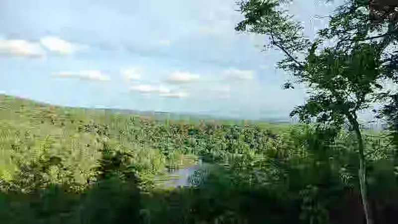 Streaming2023 06 05 12.31   OBS Hosting Screenshot by Free 101